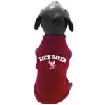 Bald Eagles dog Athletic  Jersey