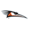 Delmarva Shorebirds