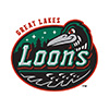 Great Lakes Loons