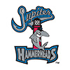 Jupiter Hammerheads
