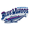 Pensacola Blue Wahoos